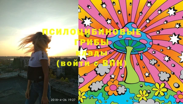 шишки Белоозёрский