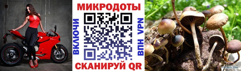 Купить  Скопин  Галлюциногенные грибы прущие грибы 